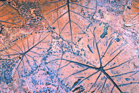 Leaf Backgroundの素材