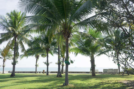 Hua-Hin beach,Thailand in summer seasonの写真素材