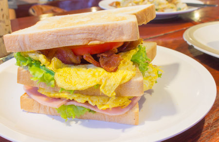 Club sandwich on white plateの写真素材