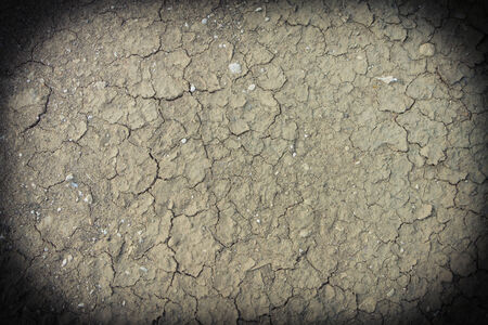 Close up of Dirty Cracked clay ground