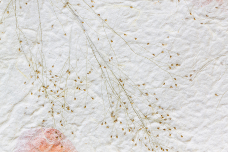 Mulberry paper with dry flower texture backgroundの写真素材