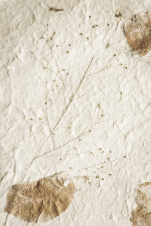 Mulberry paper with dry flower texture backgroundの写真素材