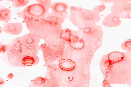 Abstract red watercolor on white paper backgroundの写真素材