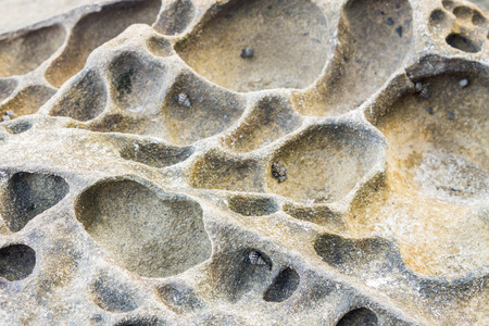 Close Up of rocky shore texture backgroundの写真素材