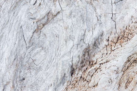 Close up of old Wooden texture  backgroundの写真素材