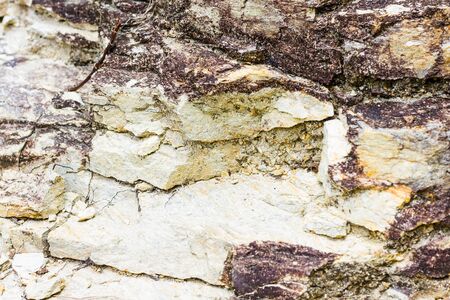 Close Up of Rock texture backgroundの写真素材