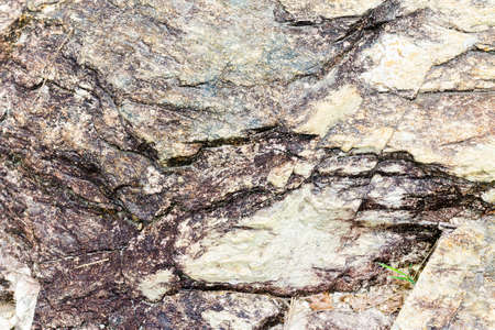 Close Up of Rock texture background