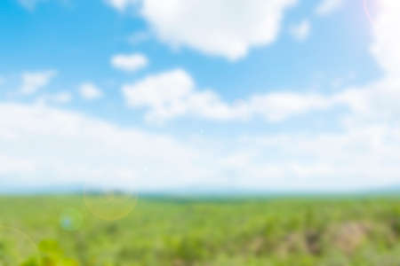 Defocused image ,green tree and cloud on blue skyの写真素材