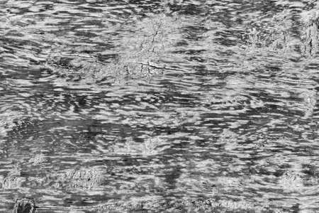 Black and white Wooden texture backgroundの写真素材