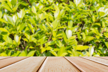 Empty Wooden deck table over blur nature backgroundの写真素材
