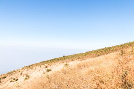 Kew mae pan nature trail at Doi Inthanon national park ,Chiangmai Thailandの写真素材