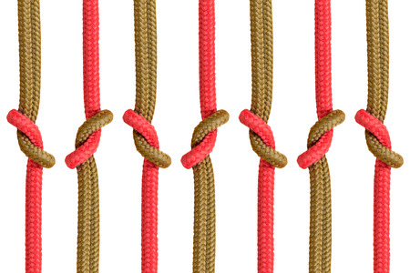 Connected concept. Different ropes tied isolate on white background