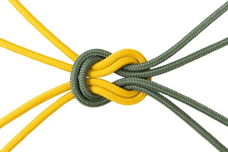 Connected concept. Different ropes tied isolate on white