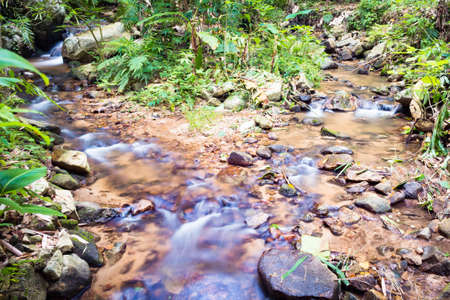 Waterfall in the forest at Mae Kampong village Chiang Mai, Thailand