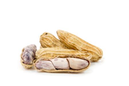 Close up steamed peanuts on white backgroundの写真素材