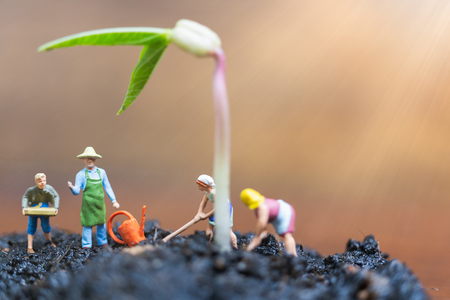 Miniature people , Gardeners take care growing sprout in field , Environment conceptの写真素材