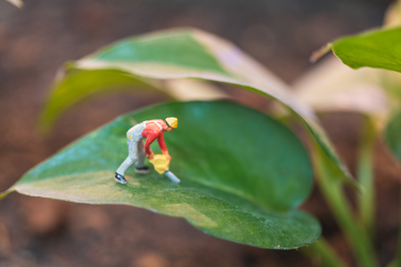Miniature people : worker team working with tree , protect nature conceptの写真素材