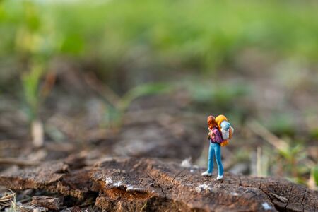 Miniature people : Traveler miniature with backpack stand and walking on meadow, Travel and Adventure concepts.の写真素材
