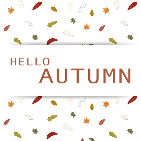 Autumn background with colourful leaves isolate on white backgroundのイラスト素材