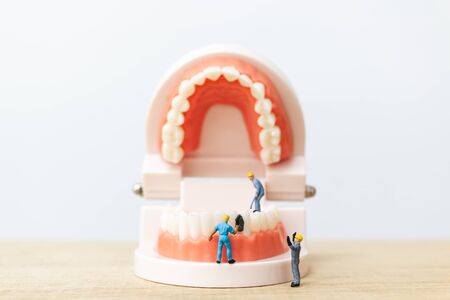 Miniature people : Worker team repairing a tooth ,Healthcare and medical conceptの写真素材