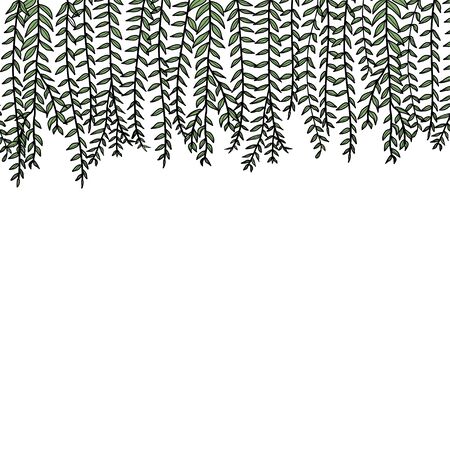 Vector card with hand drawn graceful fern leaves. beautiful floral design elements.のイラスト素材