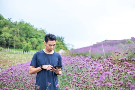 Portrait of Young asian man working in verbena garden,  Agriculture conceptの写真素材