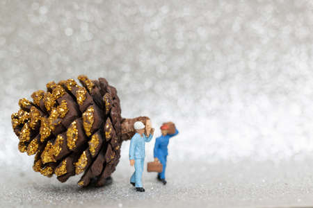 Miniature people,  Worker team prepared a Christmas pine cone , Christmas and Happy New Year concept.の写真素材