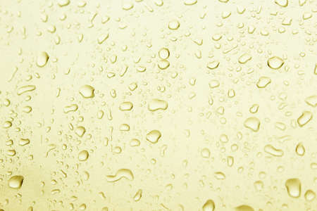 Water drops の写真素材