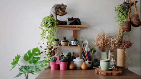 Front View Element or Plant Decoration With Stationary on Wooden Table, Working Table Concept, Empty Space For Text,の写真素材