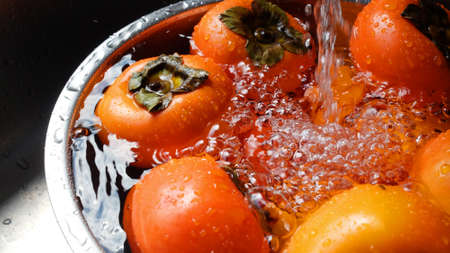 Persimmon Fruit, Closeup Fruit With Water Wash, Persimmonの写真素材