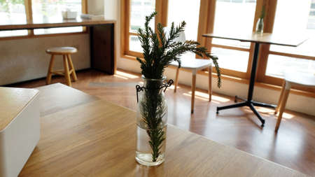 Decoration Table Room With Planting and Old Furniture, Empty Space, Close up...