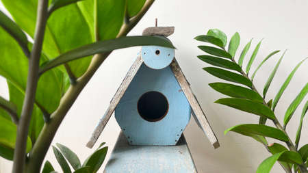 House of Bird, Wooden House of Birdの写真素材