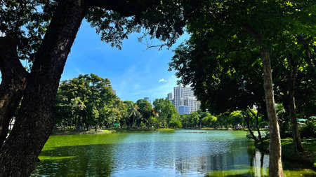Lake With Park, Tree With Park in City...