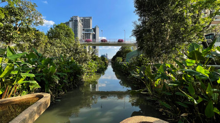 Planting Garden Decoration in City, Garden With Architecture City...,の写真素材