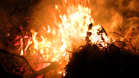 Fire, Camping, Fire Burning, Fire, Burning Background...,
