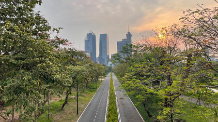 Panoramic view of the cityscape with park of Bangkok