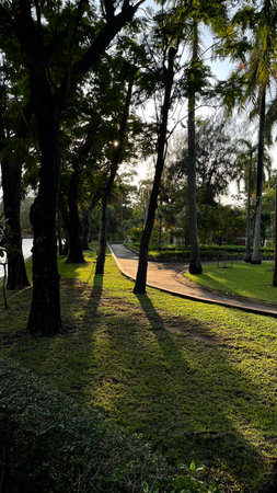 Park with trees and grass in the evening light, Bangkok, Thailand