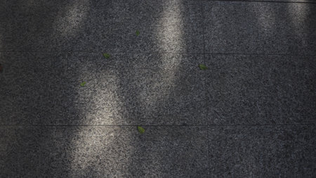 Shadow of tree on the concrete floor in the park, for background
