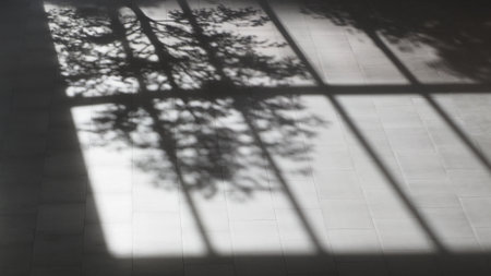 Shadow of the tree on the wall in a room with tiled floorの写真素材