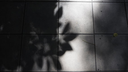 Shadow of leaf on the floor in black and white. Abstract background.