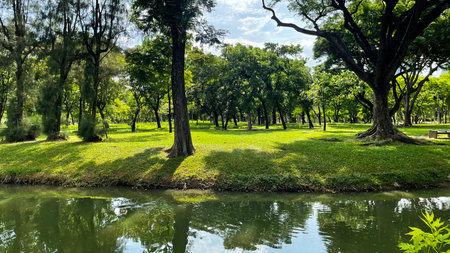 Beautiful green park with lake and trees in the city of Thailand