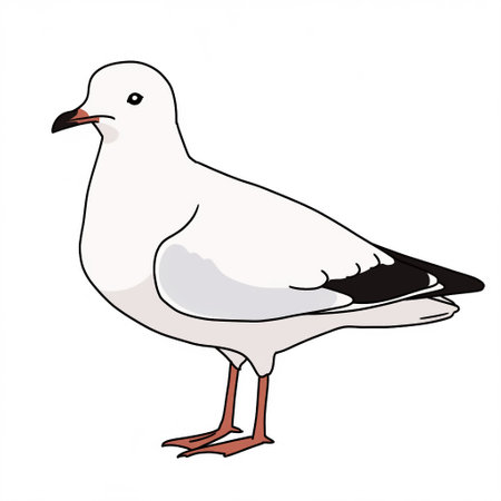 Seagull cartoon comic drawing , black outline on white background, AI generatedの素材