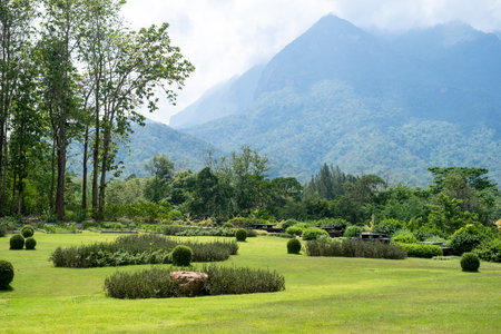 Beautiful of a manicured garden with the majestic Doi Luang Chiang Dao mountain in the background . Chiang Mai Thailand.の写真素材