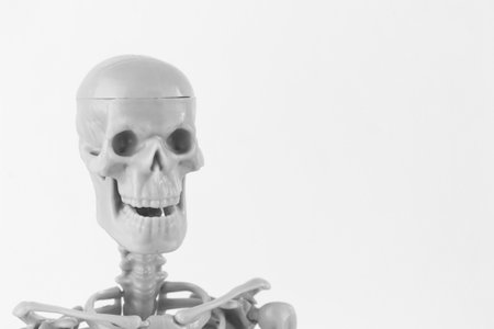 A smiling skeleton figurine with detailed bones on a clean white background, perfect for Halloween and spooky design themes.の写真素材