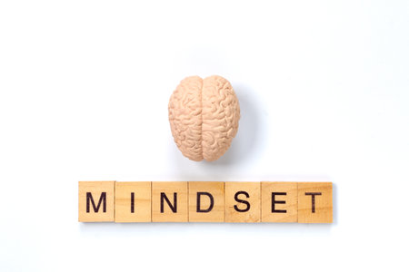 Mindset Concept with Brain and Wooden Letter Tiles on White Background , symbolizing creativity, intelligence, and positive thinkingの写真素材
