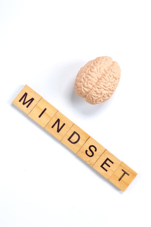Mindset Concept with Brain and Wooden Letter Tiles on White Background , symbolizing creativity, intelligence, and positive thinkingの写真素材