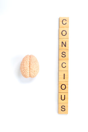 Conscious Mind Concept with Brain and Wooden Letter Tiles on White Backgroundの写真素材