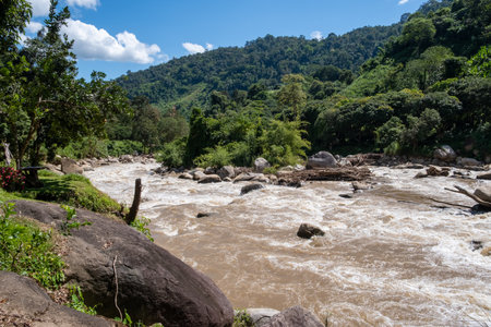 Scenic view of Mae Taeng River flowing through lush green mountains in Chiang Mai, Thailand, under a bright blue sky.の写真素材