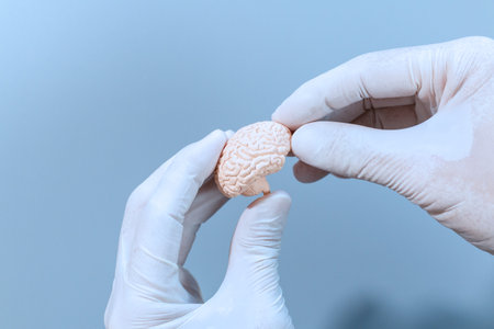 A small anatomical brain model held gently by a gloved hand on a clean blue background