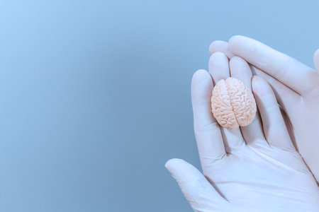 A small anatomical brain model held gently by a gloved hand on a clean blue background